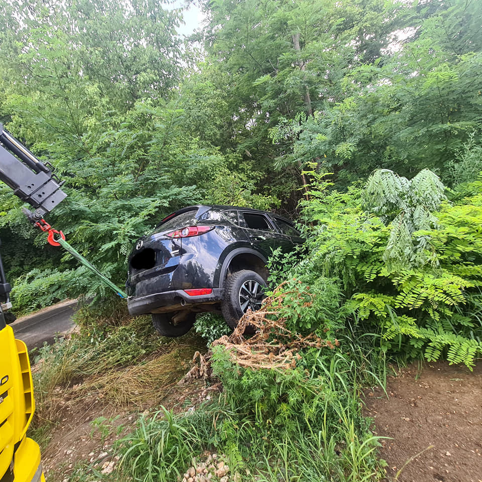 Mazda CX-5 sűrű erdőből
